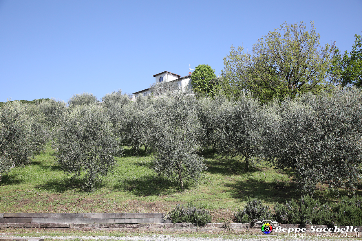 VBS_7169 - PressTour educational dedicato ai vini del Pinerolese e all’olio prodotto sulla collina di Pinerolo.jpg